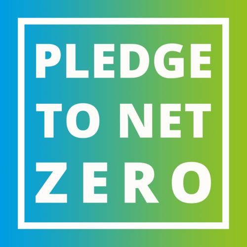 How to Make a Pledge to Net Zero: Differentiate Yourself